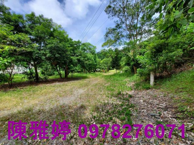 台東卑南農地-11